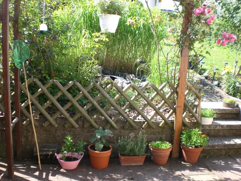 gartenzeit!!!! - Seite 5